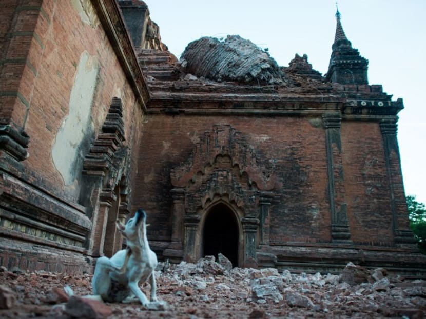 Collapsed walls are seen surrounding the ancient pagoda of Sulamani after a 6.8 magnitude earthquake hit Bagan, on August 25, 2016. Photo: AFP