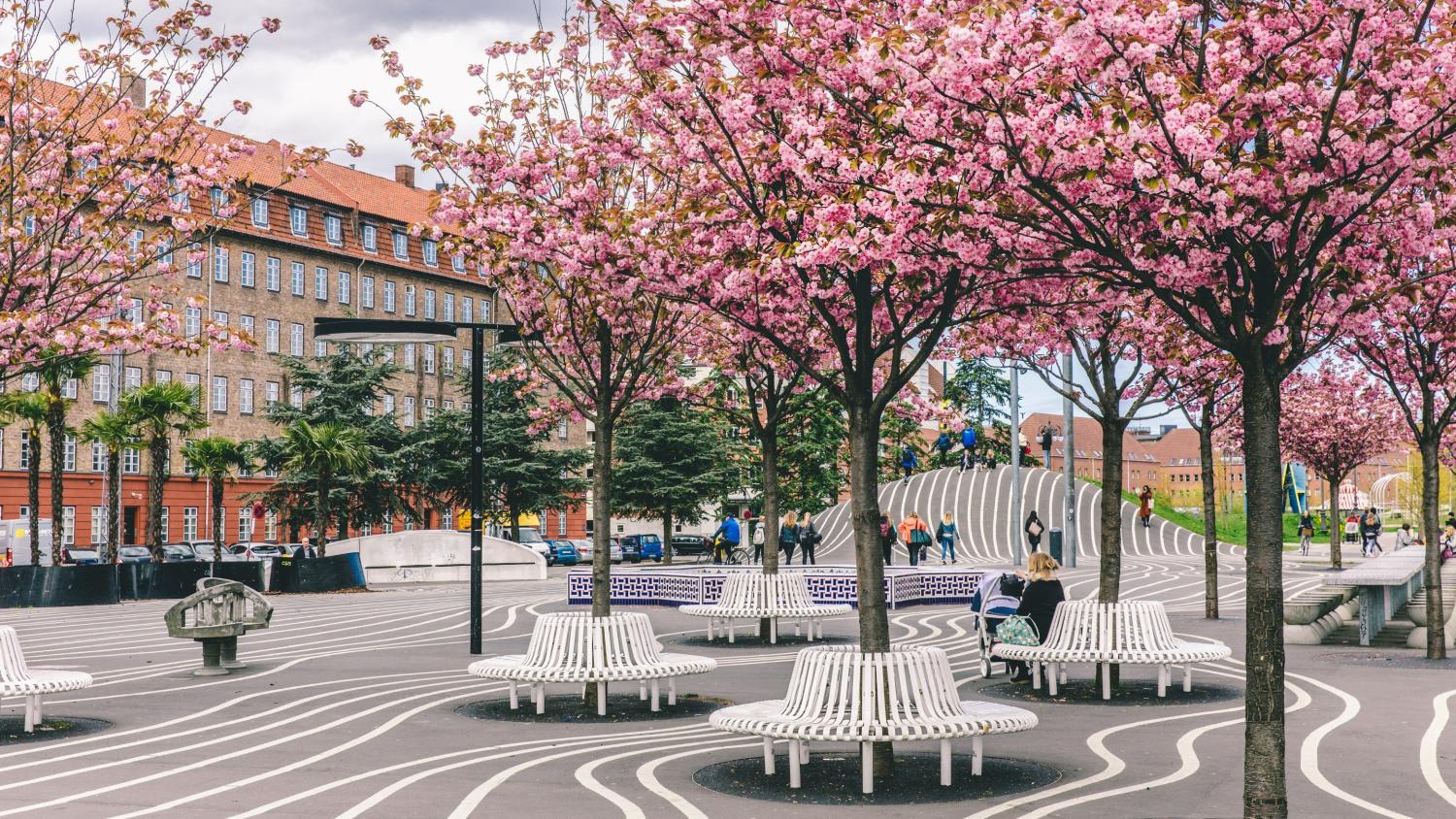 Designed for a cause: Copenhagen is a utopia of green adventures Designed for a cause: Copenhagen is a utopia of green adventures