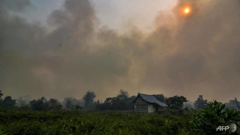Malaysia ditches law to combat forest fire smog Malaysia ditches law to combat forest fire smog