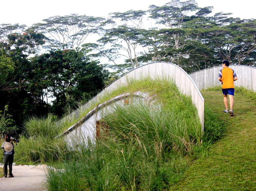 Marsh ado about Kranji Marsh ado about Kranji