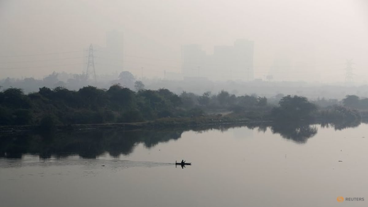 Pengadilan tinggi India memerintahkan ‘bekerja dari rumah’ atas polusi di ibu kota