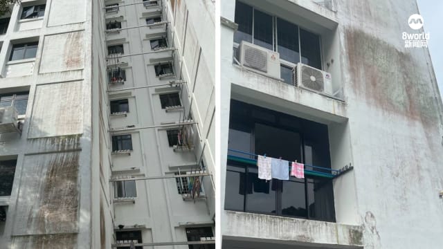 锦茂路多座组屋外墙霉迹斑斑 市镇会：正计划修补和重新粉刷
