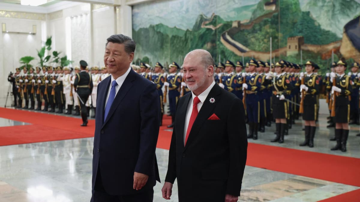 马来西亚国王称中国访问对促进两国关系“取得成功”