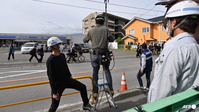 Sick of tourists, Japan town blocks view of Mount Fuji