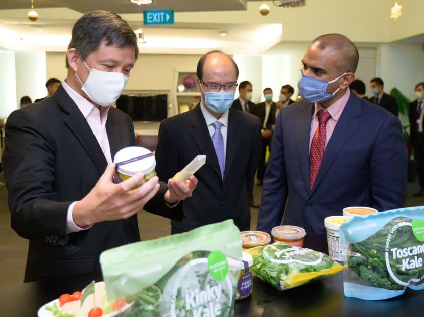 US startup opens food tech lab in Singapore to develop animal-free milk proteins US startup opens food tech lab in Singapore to develop animal-free milk proteins