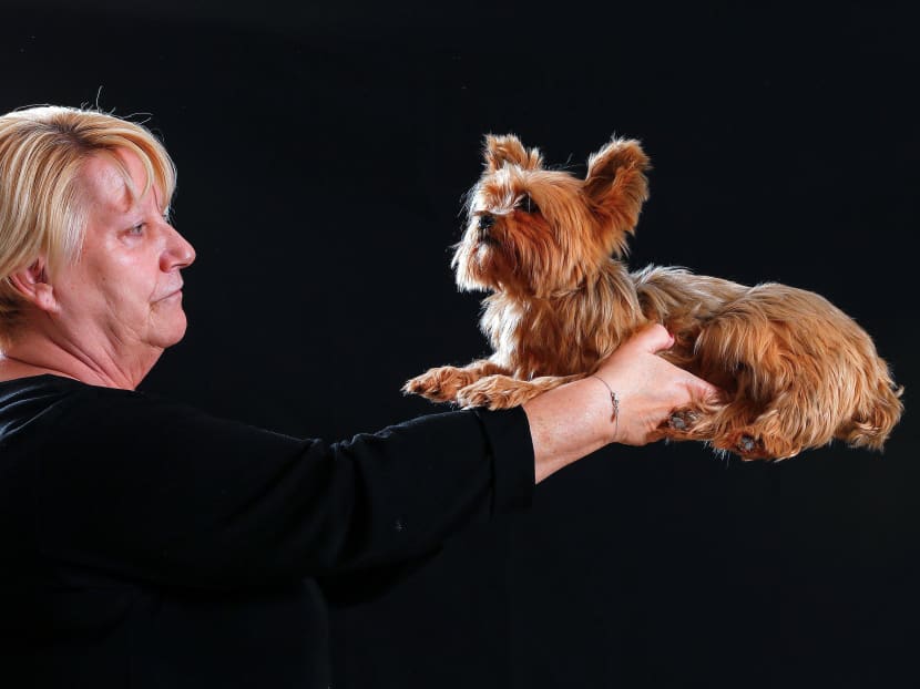 Gallery: Pets get send-off with a human touch