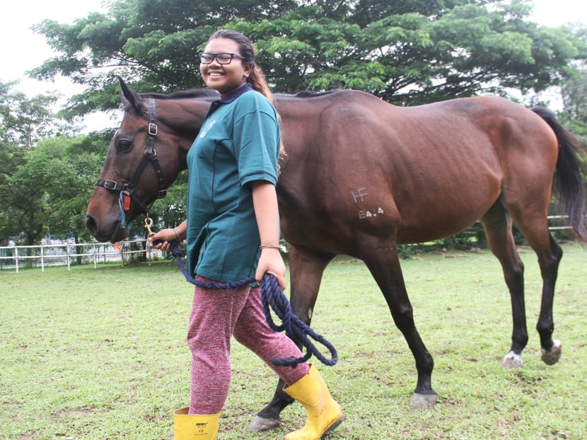 Gallery: Horses help at-risk youth keep a rein on their lives