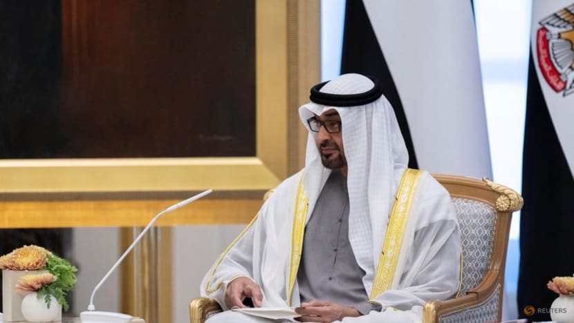 UAE pledges US$100 million to support countries affected by irregular immigration