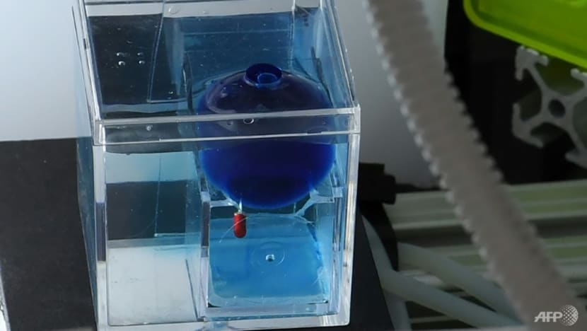 California start-up sends tiny robots on voyage into brains