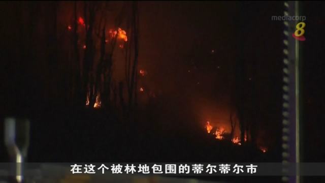 智利中部城市发生林火 当局宣布进入红色警戒