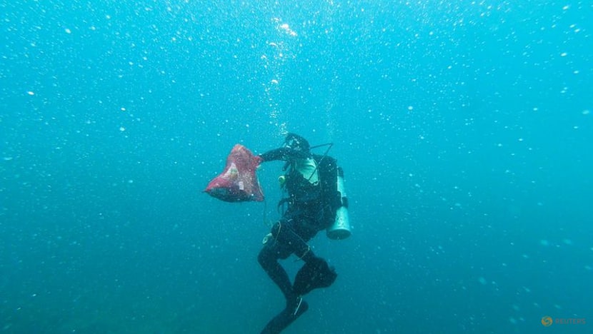 Philippine divers clear plastic waste from corals for World Cleanup Day Philippine divers clear plastic waste from corals for World Cleanup Day