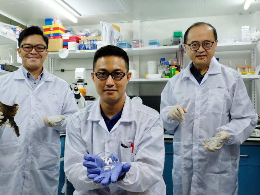 A research team (pictured) from the Nanyang Technological University in Singapore hopes that a biomaterial it produced may be used to help the regeneration of human bone tissue lost to disease or injury.