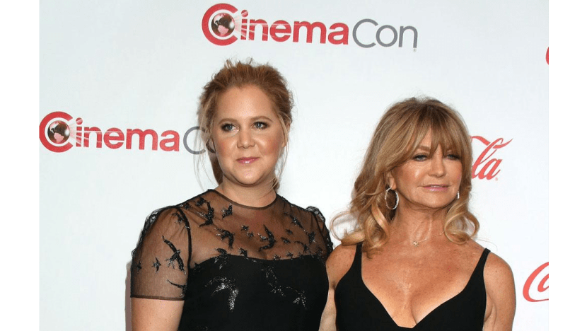 Amy Schumer Harassed Goldie Hawn To Star In Snatched 8days 0771