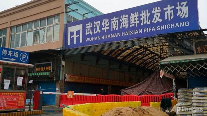 Tikus, anak musang, haiwan eksotik dijual di pasar makanan laut Wuhan