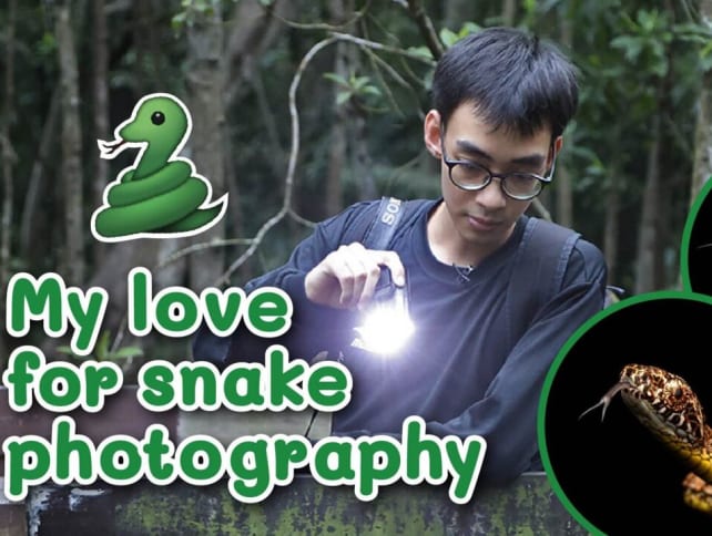 My love for snake photography  