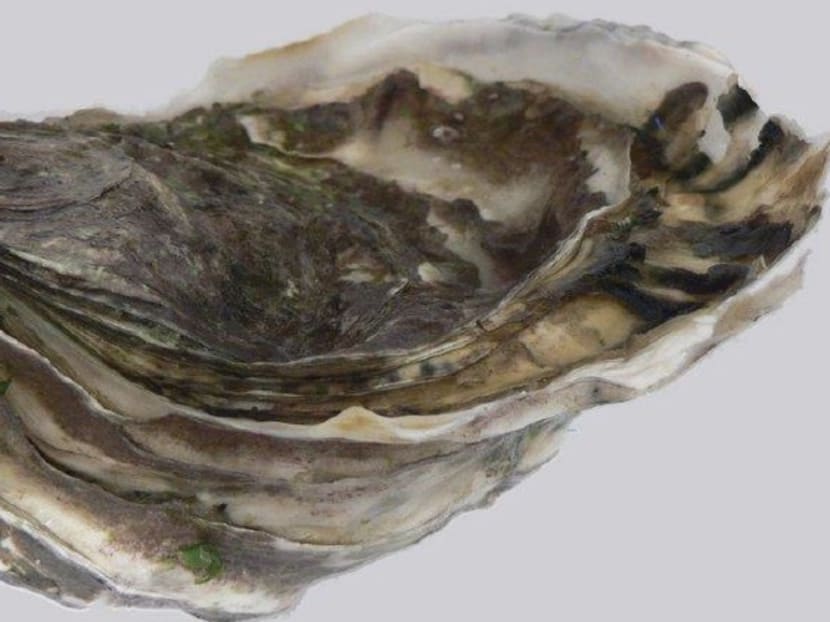 The Singapore Food Agency has directed three importers to recall raw Pacific oysters (pictured) harvested from Coffin Bay in Australia.