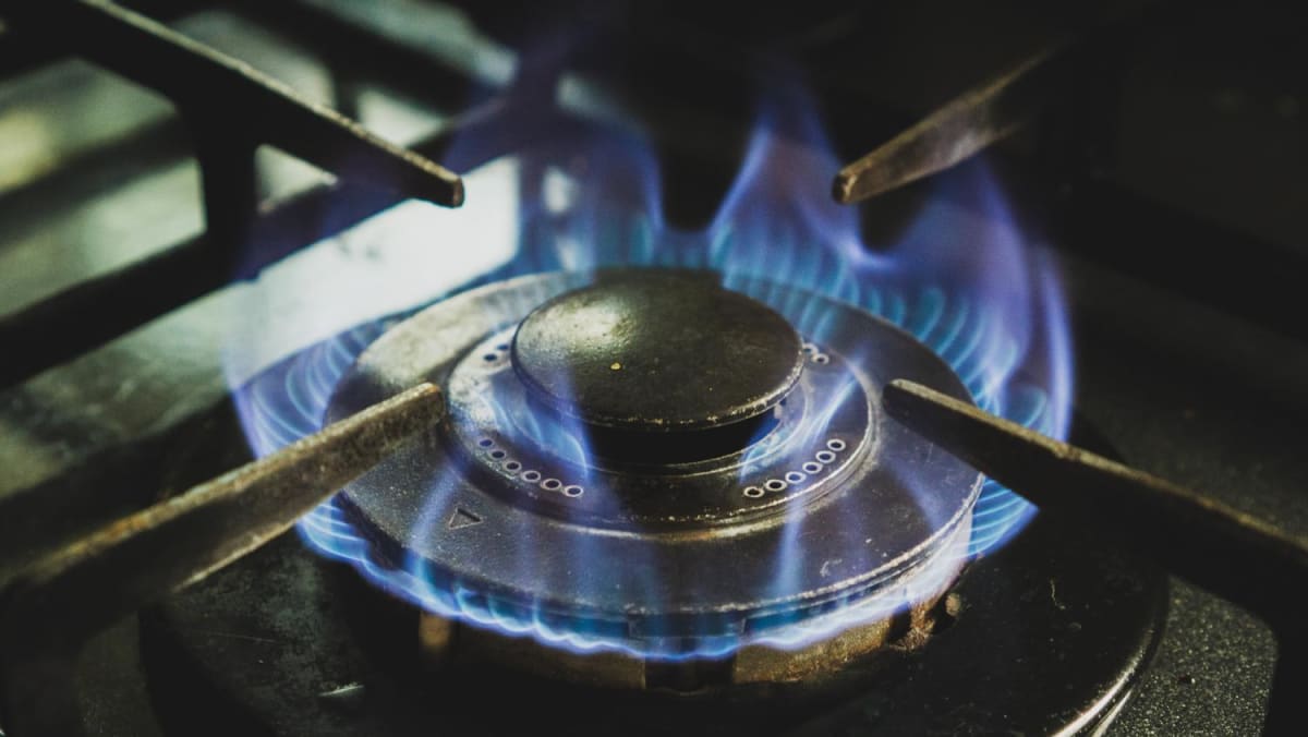 Asthma study sparks debate about safety of cooking with gas TODAY