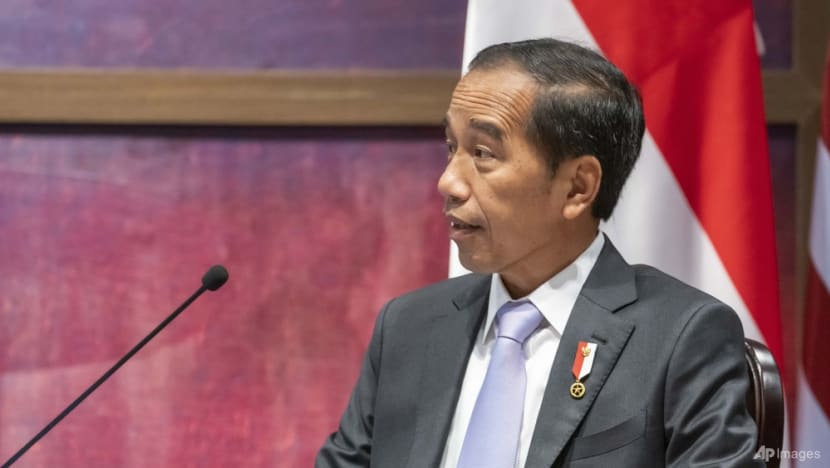 Indonesia President Joko Widodo in ‘tough spot’ to unite G20 leaders: Analysts