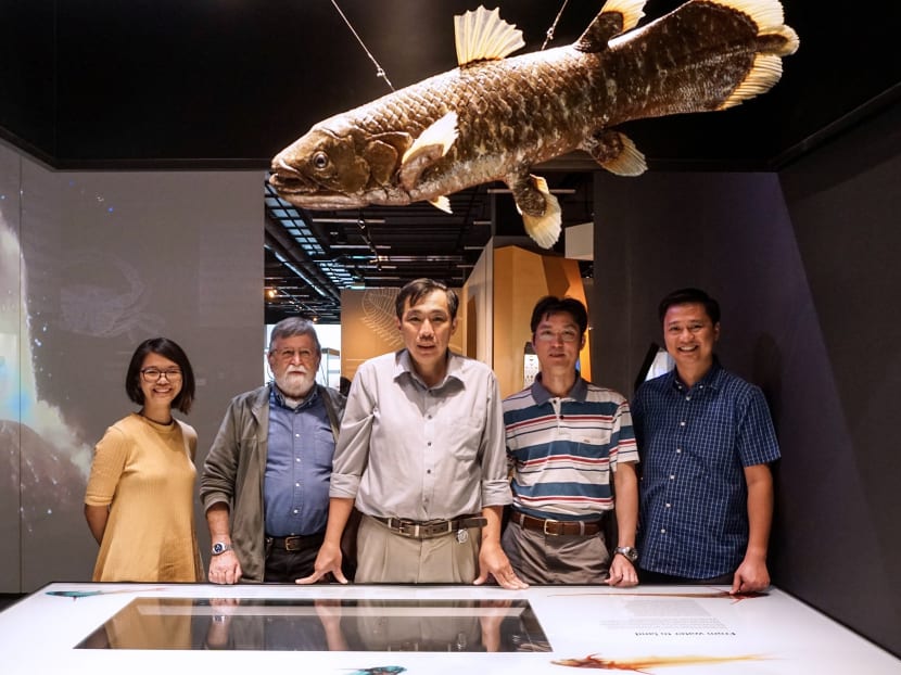 Members of the South Java Deep-Sea Biodiversity Expedition 2018 include (from left) Ms Iffah Binte Iesa, expedition consultant Dr Bertrand Richer de Forges, the Singapore team's chief scientist Prof Peter Ng, expedition consultant Prof Chan Tin-Yam from National Taiwan Ocean University, and Dr. Jose Christopher Escaño Mendoza. Photo: National University of Singapore