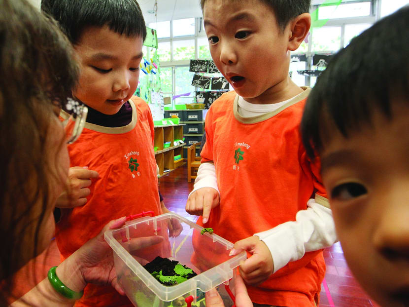 Taiwan government's efforts pay off in pre-schools