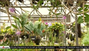 Gardens by the Bay gets greener as in-house plant production grows | Video