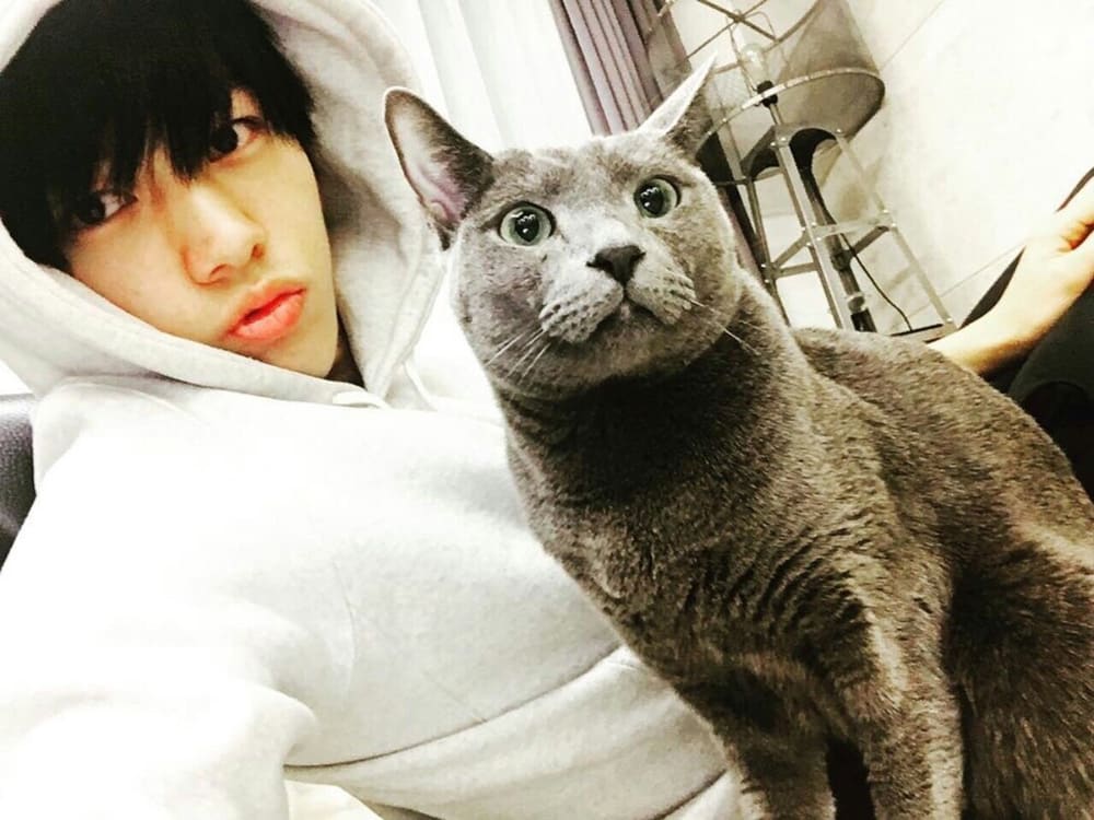 喵 快过来 12超可爱的猫奴男星 8world Entertainment Lifestyle