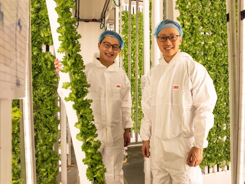 Mr Vincent Wei (right) and Mr Sven Yeo, co-founders of agri-tech firm Archisen, at their indoor farm on Buroh Lane on Dec 2, 2021. They recount how Covid-19 disrupted their carefully crafted plans for a flagship product.