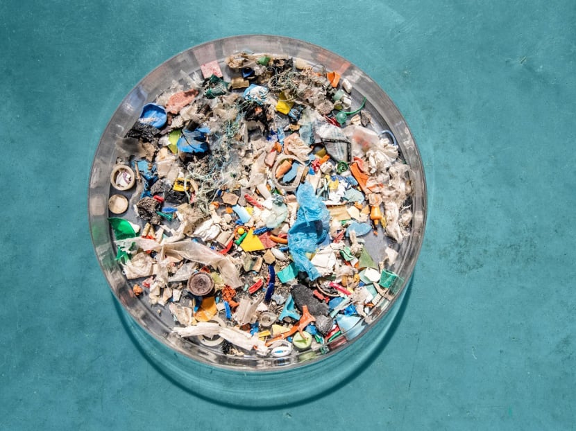 The stomach contents of a sea turtle. The so-called Great Pacific Garbage Patch is four to 16 times bigger than previously thought, occupying an area roughly four times the size of California, according to a study published in Scientific Reports. Photo: Ocean Cleanup Foundation via The New York Times