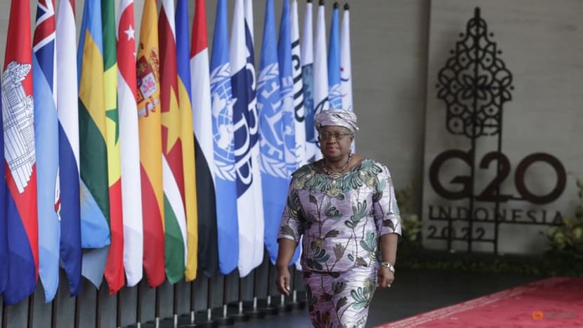 WTO warns of 'real' recession risk in some major economies WTO warns of 'real' recession risk in some major economies