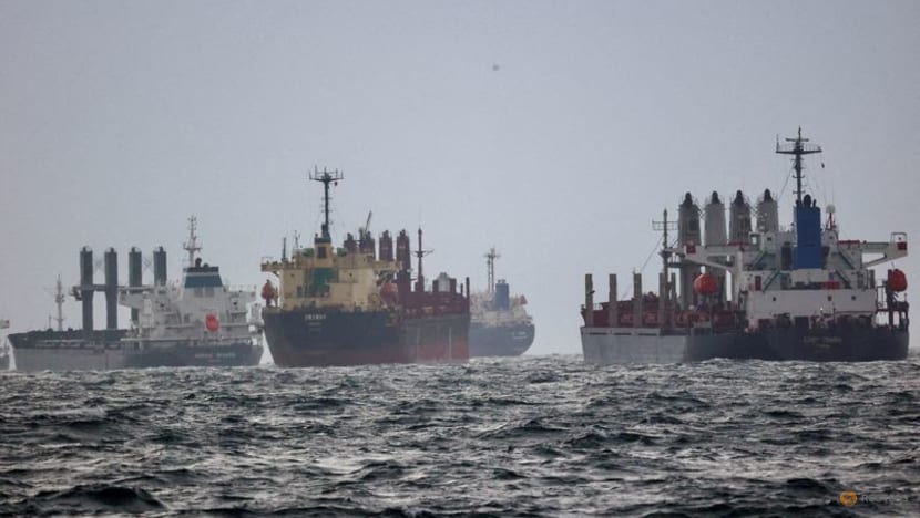 Black Sea grain deal uncertainties stall Ukraine shipments