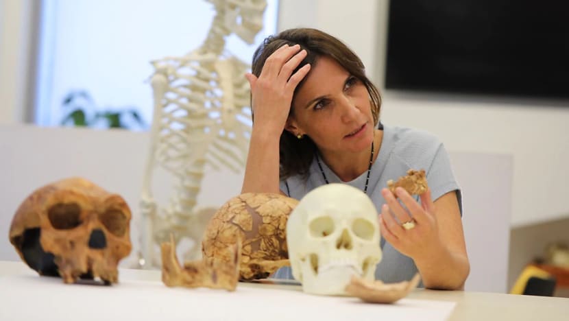 'New type of early human' found in Israel 'New type of early human' found in Israel