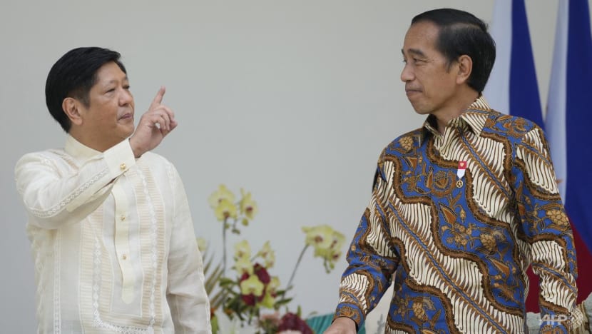 Philippines' Marcos visits Indonesia in first overseas trip as president