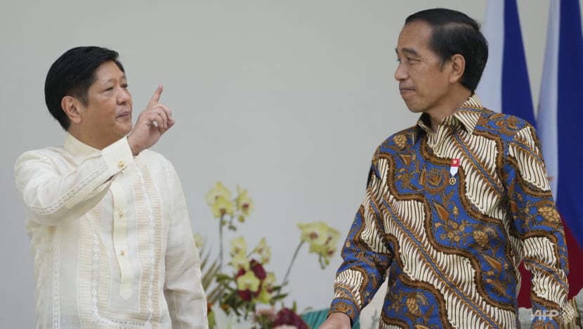 Philippines' Marcos visits Indonesia in first overseas trip as president Philippines' Marcos visits Indonesia in first overseas trip as president