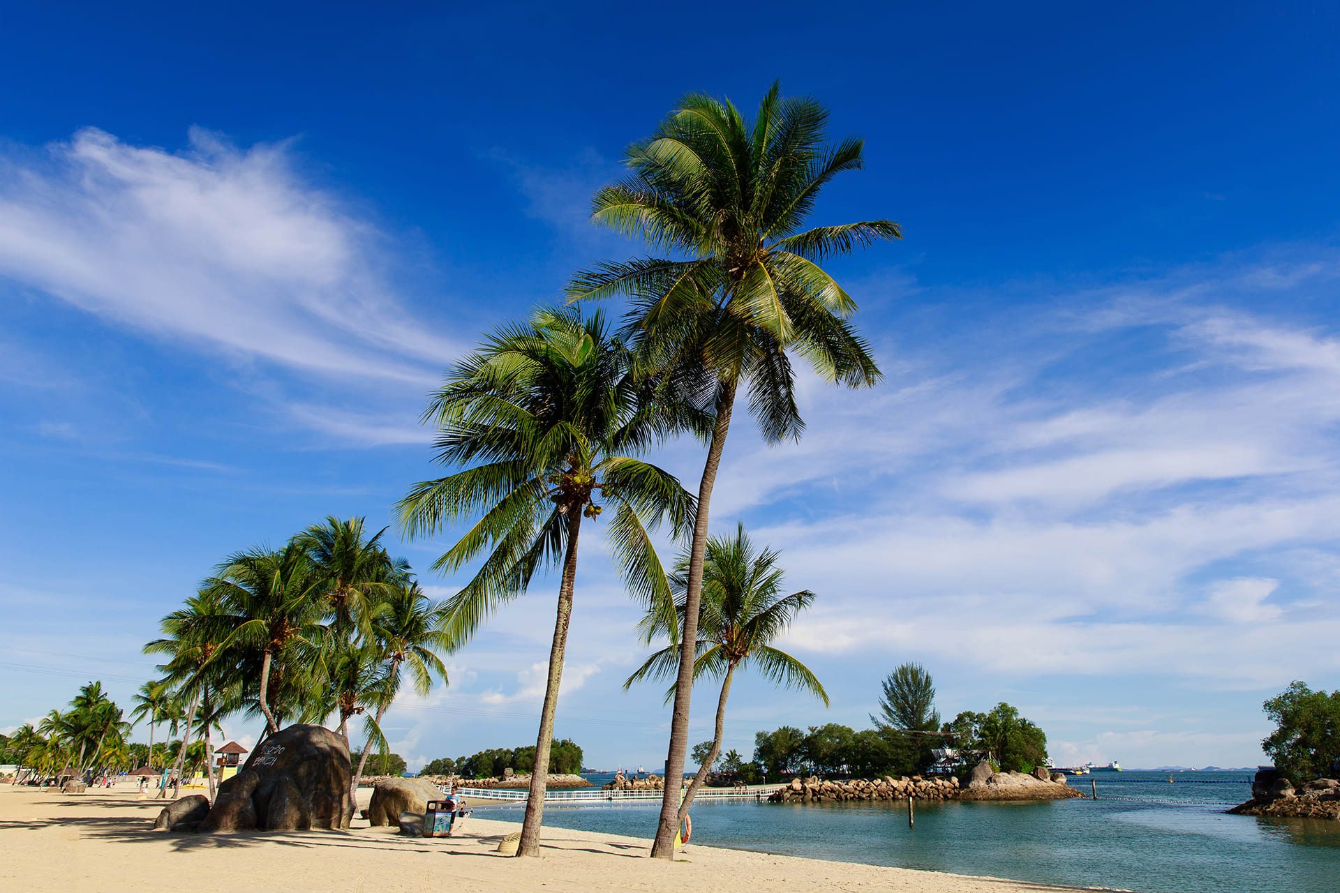 Reservations Required For Entry To Sentosa Beaches During Peak Periods From Oct 17. Here's How To Book Reservations Required For Entry To Sentosa Beaches During Peak Periods From Oct 17. Here's How To Book