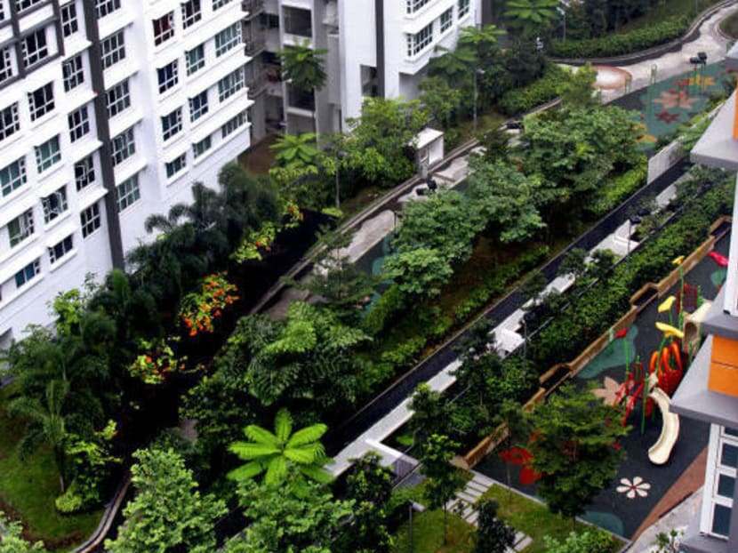 Punggol Breeze features one of Singapore's longest roof gardens, providing residents with view of lush greenery. TODAY file photo