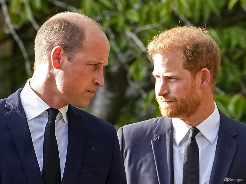 In memoir Spare, Prince Harry says William attacked him during row