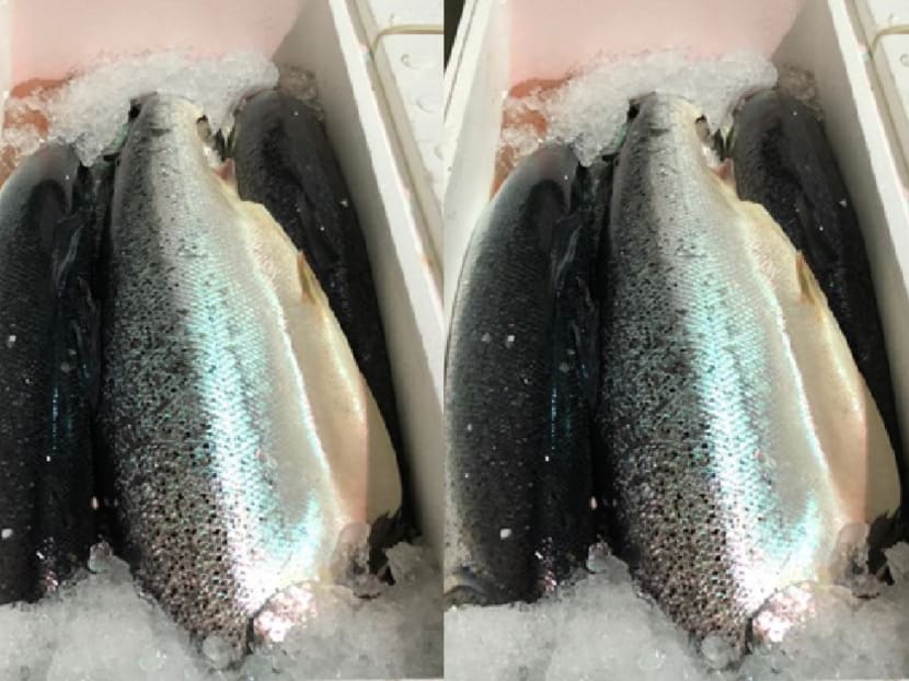 Consumers who have purchased the Atlantic salmon from Norway should cook the fish thoroughly before consumption as it kills the listeria monocytogenes bacteria, the SFA said.