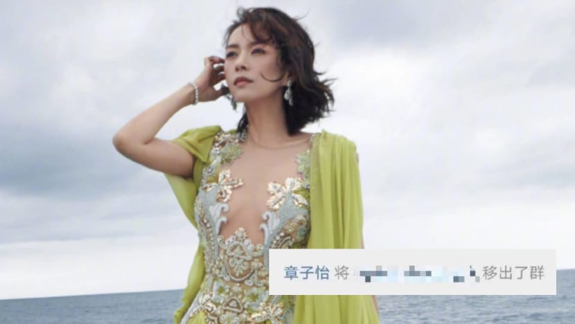 Zhang Ziyi Kicks Fan Out Of A Group Chat After He Calls Her An Auntie