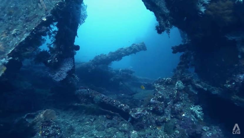Heartbreak as large-scale salvagers loot Southeast Asia’s WWII shipwrecks, war graves Heartbreak as large-scale salvagers loot Southeast Asia’s WWII shipwrecks, war graves