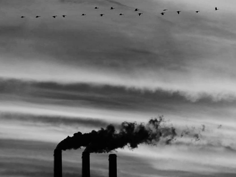 The transition to a cleaner future will require both government action and the right incentives for the private sector. At the centre should be a strong public policy that puts a price on carbon pollution. Photo: AP The transition to a cleaner future will require both government action and the right incentives for the private sector. At the centre should be a strong public policy that puts a price on carbon pollution. Photo: AP