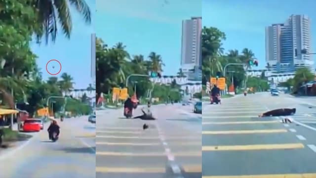 椰从天降！摩托车骑士惨遭椰子砸中 摔倒路中央