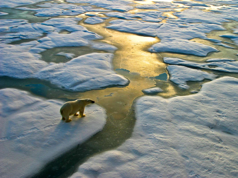 COP26: Past 7 years the hottest ever recorded, scientists say