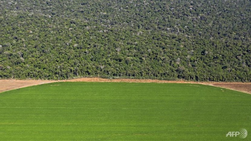 Nearly a fifth of Earth's surface transformed since 1960 Nearly a fifth of Earth's surface transformed since 1960