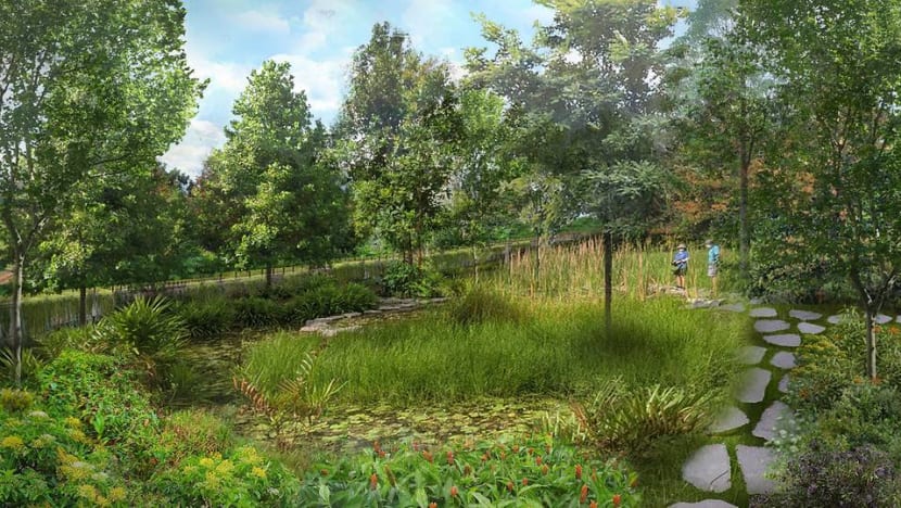 NParks to develop Singapore’s longest cross-island trail and 3 new recreational routes NParks to develop Singapore’s longest cross-island trail and 3 new recreational routes