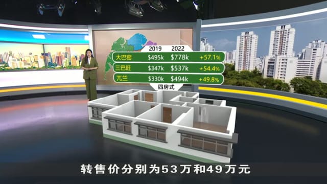 狮城有约 | 大数据 新视力：房屋转售 