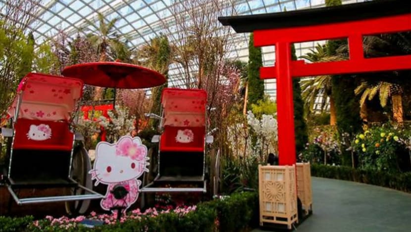 Kombinasi 'Kawaii': Bunga sakura dan Hello Kitty di Taman Di Pesisiran Kombinasi 'Kawaii': Bunga sakura dan Hello Kitty di Taman Di Pesisiran