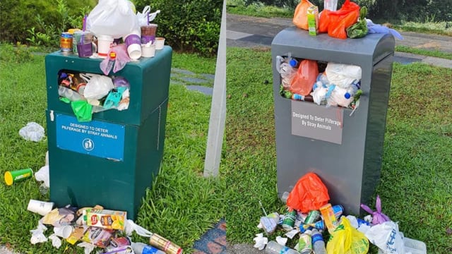 缺乏责任感！武吉巴督公园垃圾桶垃圾溢出  