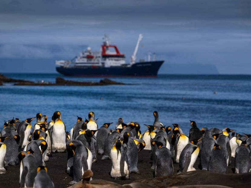 Thousands of King penguin (Manchots Royaux) are pictured on Dec 20, 2022 on the Posession Island, part of the Crozet Islands which are a sub-Antarctic archipelago of small islands in the southern Indian Ocean, forming one of the five administrative districts of the French Southern and Antarctic Lands. Thousands of King penguin (Manchots Royaux) are pictured on Dec 20, 2022 on the Posession Island, part of the Crozet Islands which are a sub-Antarctic archipelago of small islands in the southern Indian Ocean, forming one of the five administrative districts of the French Southern and Antarctic Lands.