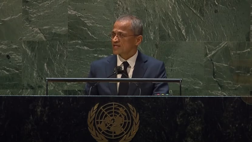 Small states must 'send a clear signal' against Russian invasion of Ukraine, says Singapore's UN representative Small states must 'send a clear signal' against Russian invasion of Ukraine, says Singapore's UN representative