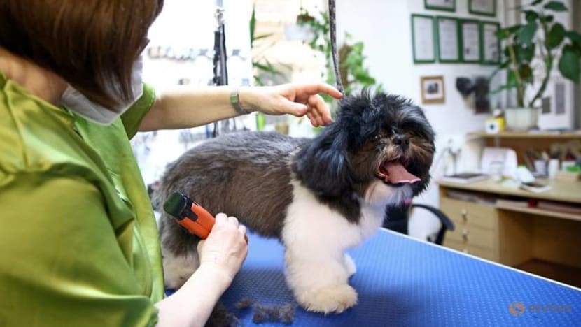 In Vienna, getting a haircut can be easier for dogs than their owners In Vienna, getting a haircut can be easier for dogs than their owners